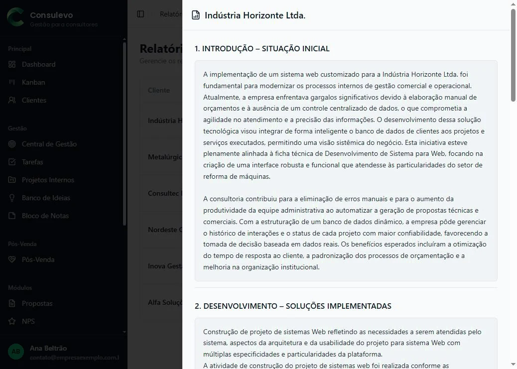 Pré-visualização de relatório de consultoria com capa e sumário.